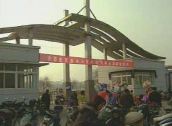 新春佳節(jié) 歡樂多多