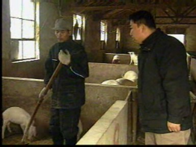 我市農(nóng)民年人均純收入突破五千元