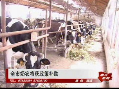 全市奶農將獲政策補助