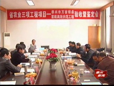 泰興萬畝銀桑套栽建設項目通過省級鑒定驗收