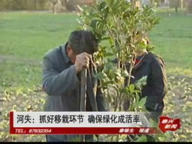 河失:抓好移栽環(huán)節(jié) 確保綠化成活率