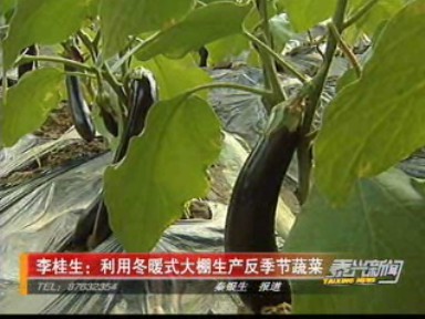 李桂生:利用冬暖式大棚生產(chǎn)反季節(jié)蔬菜