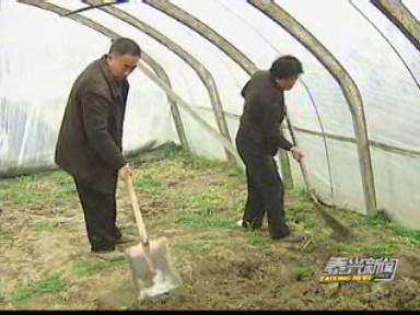 人勤春早 新年種下新希望