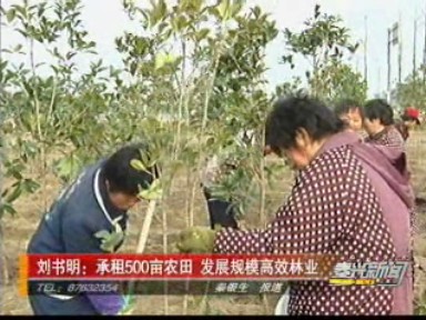 劉書明:承租500畝農(nóng)田 發(fā)展規(guī)模高效林業(yè)