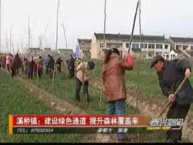 溪橋鎮(zhèn):建設(shè)綠色通道 提升森林覆蓋率
