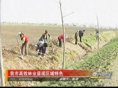 我市高效林業(yè)顯現(xiàn)區(qū)域特色
