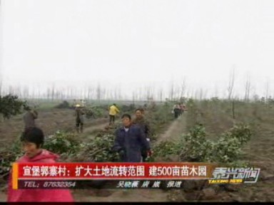 宣堡郭寨村:擴(kuò)大土地流轉(zhuǎn)范圍 建500畝苗木園