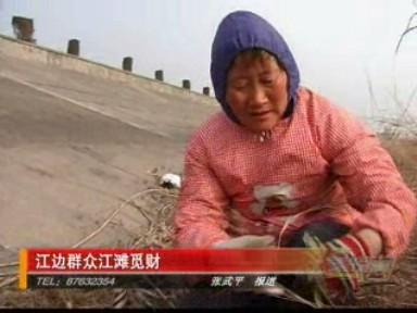 江邊群眾江灘覓財(cái)