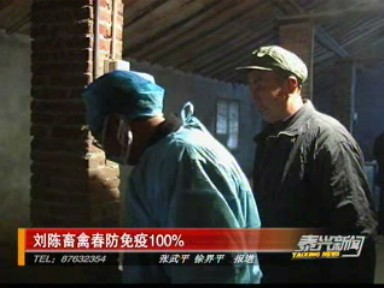 劉陳畜禽春防免疫100%