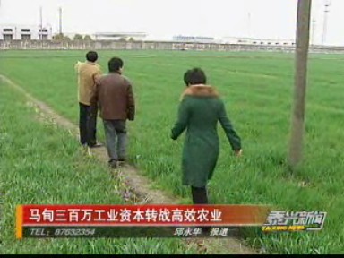 馬甸三百萬工業(yè)資本轉戰(zhàn)高效農業(yè)