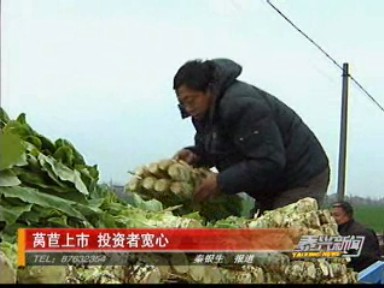 萵苣上市 投資者寬心