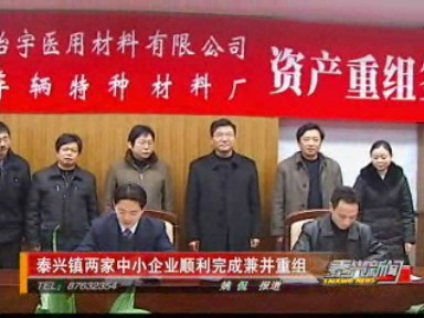 泰興鎮(zhèn)兩家中小企業(yè)順利完成兼并重組